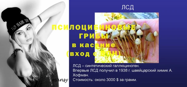 тгк Горно-Алтайск