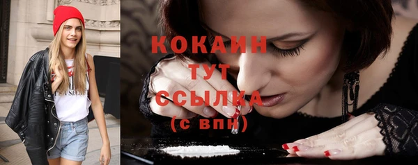 ГАЛЛЮЦИНОГЕННЫЕ ГРИБЫ Горняк