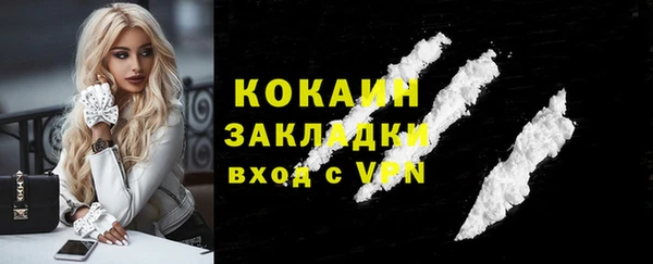 ГАЛЛЮЦИНОГЕННЫЕ ГРИБЫ Горняк