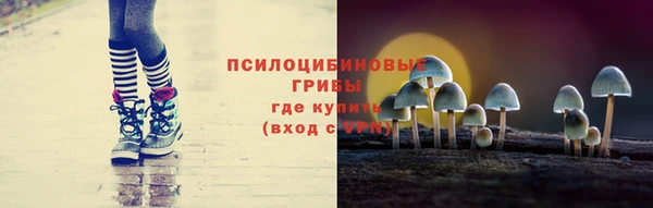 тгк Горно-Алтайск
