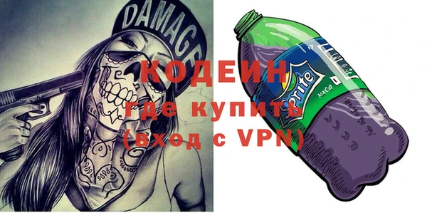 ГАЛЛЮЦИНОГЕННЫЕ ГРИБЫ Горняк