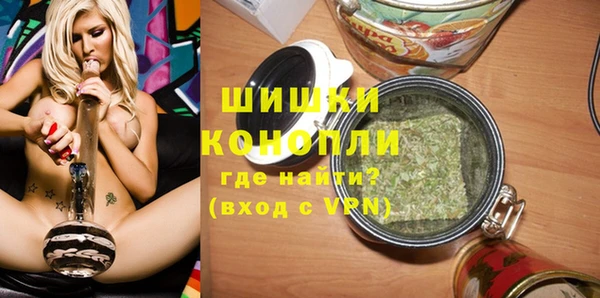 тгк Горно-Алтайск