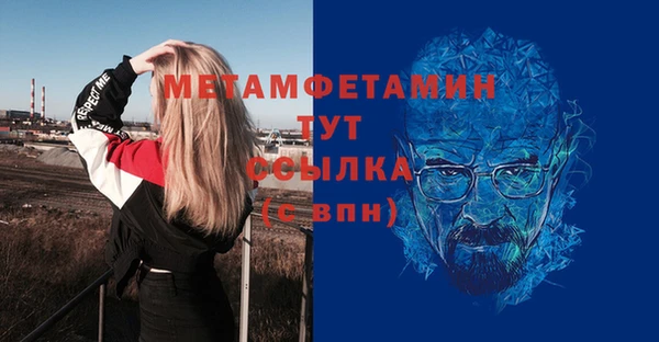 крисы Тайга