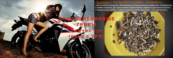 ГАЛЛЮЦИНОГЕННЫЕ ГРИБЫ Горняк