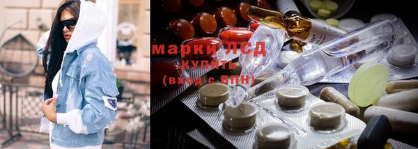ГАЛЛЮЦИНОГЕННЫЕ ГРИБЫ Горняк