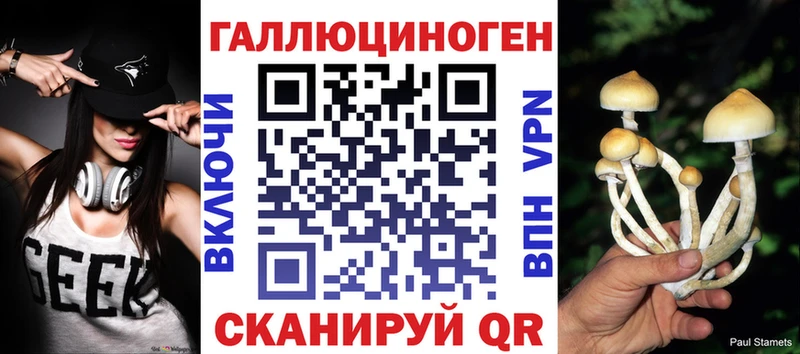 Галлюциногенные грибы Psilocybine cubensis  купить закладку  KRAKEN маркетплейс  Ачхой-Мартан 